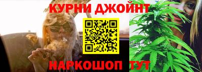 гидра Рузаевка