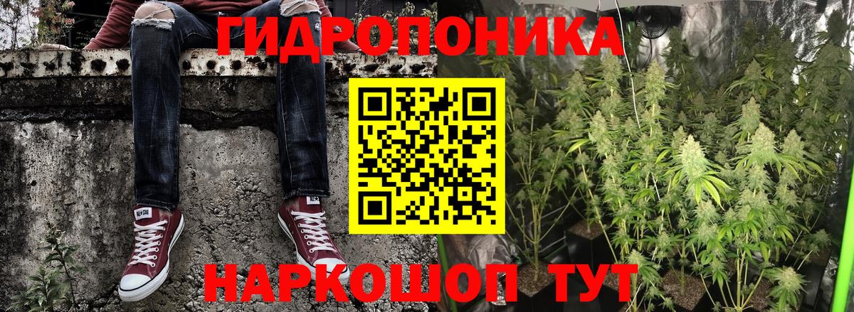 Сланцы  Канабис марихуана  Каннабис планчик  Бошки марихуана White Widow  Вход с VPN  Марихуана конопля 